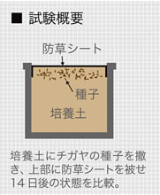 防草シート グラスガードの試験について