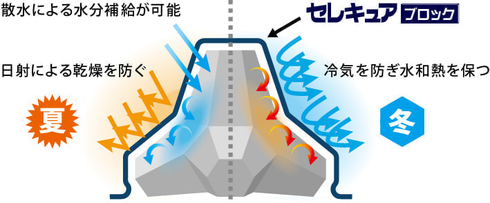 遮熱&水分保持テクノロジー