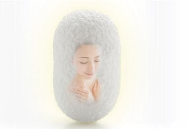 ピュアセリシン事業